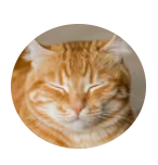 Livrée gratuitement tous